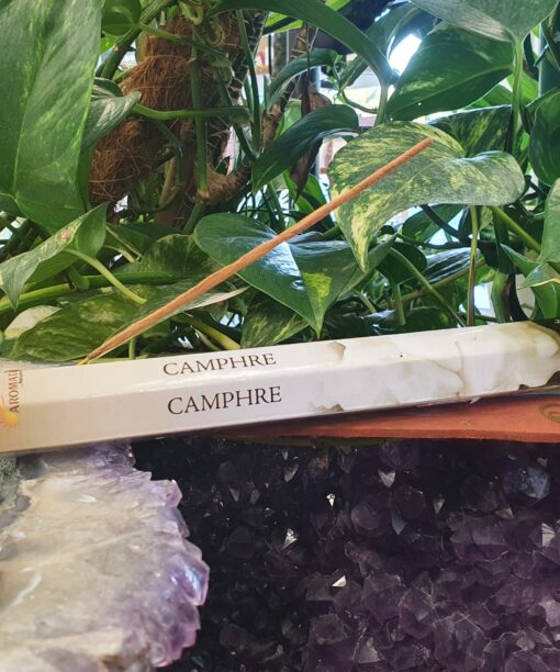 20220519 183815 scaled