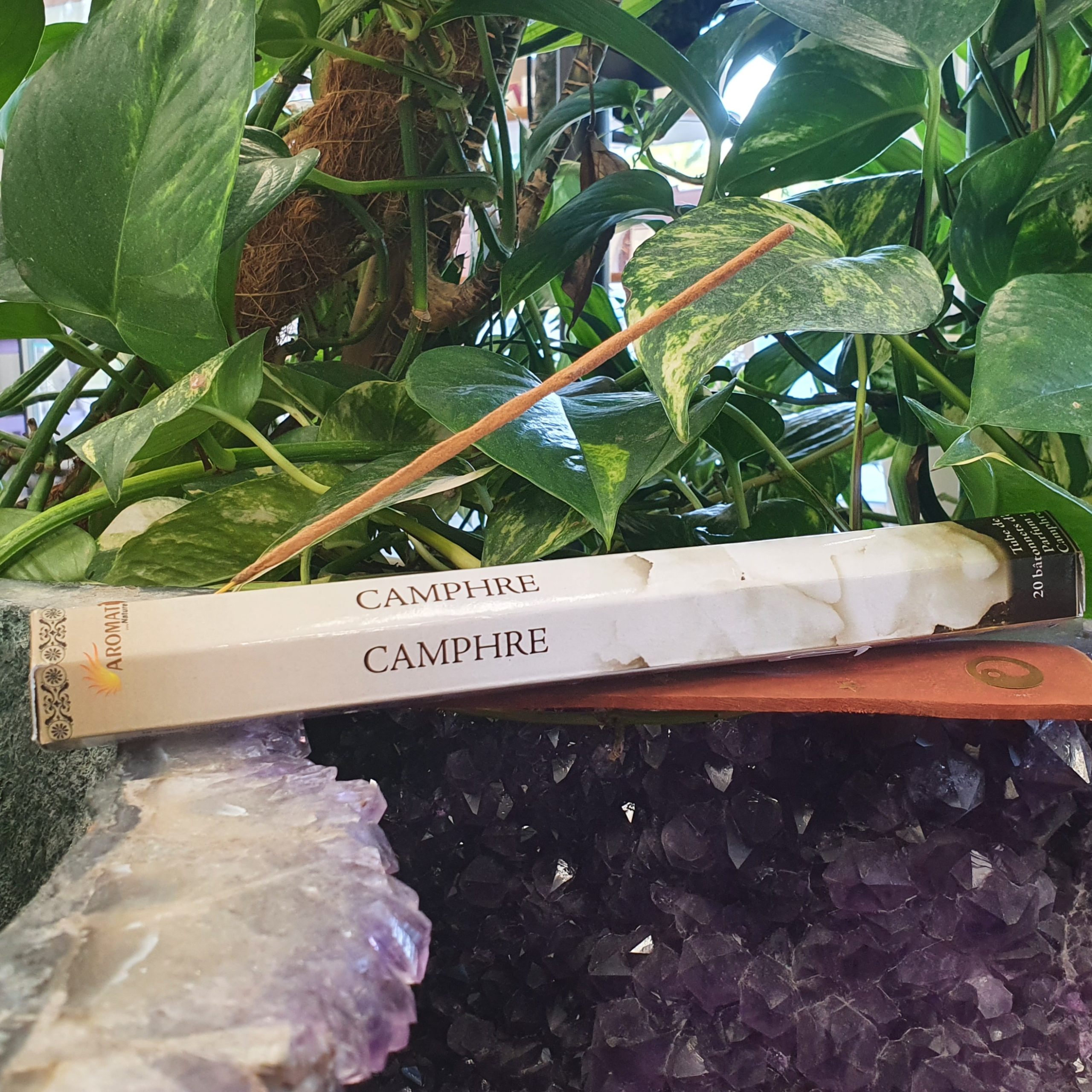 20220519 183815 scaled