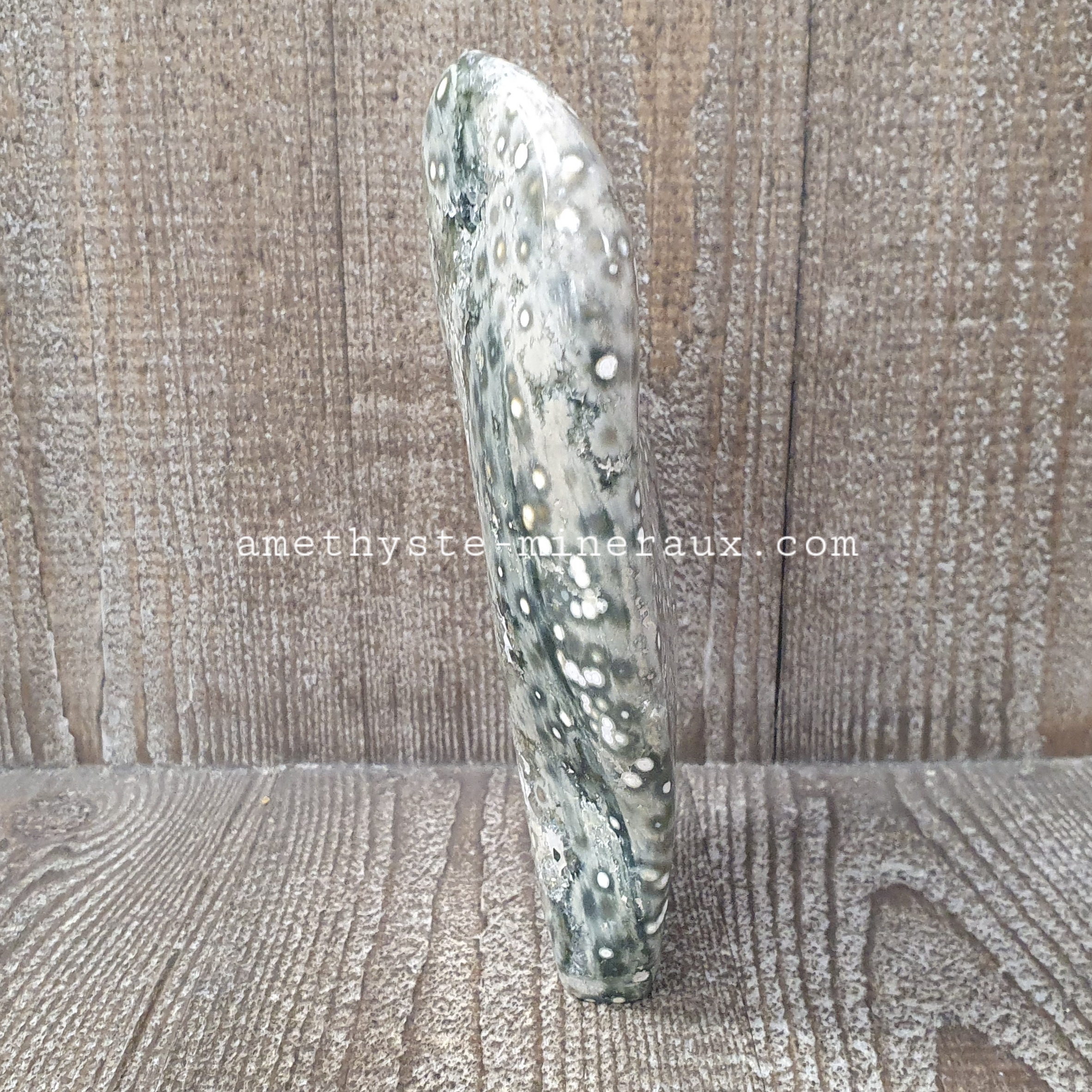 Jaspe Orbiculaire FL 3 20211007 111610