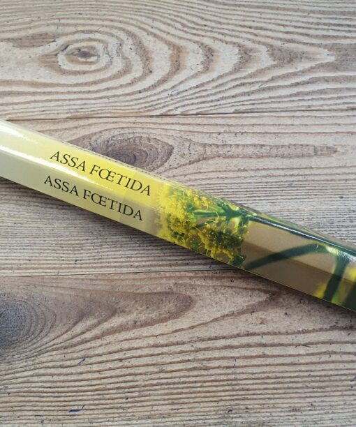 20220826 095420 scaled