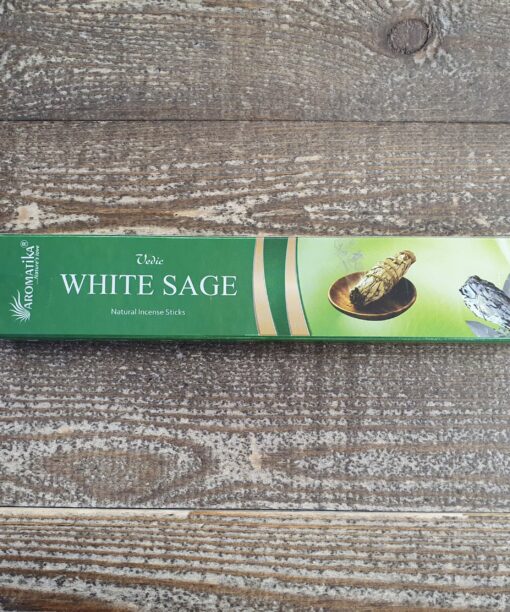 20221214 142146 scaled