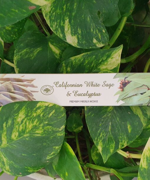 20230311 104506 scaled