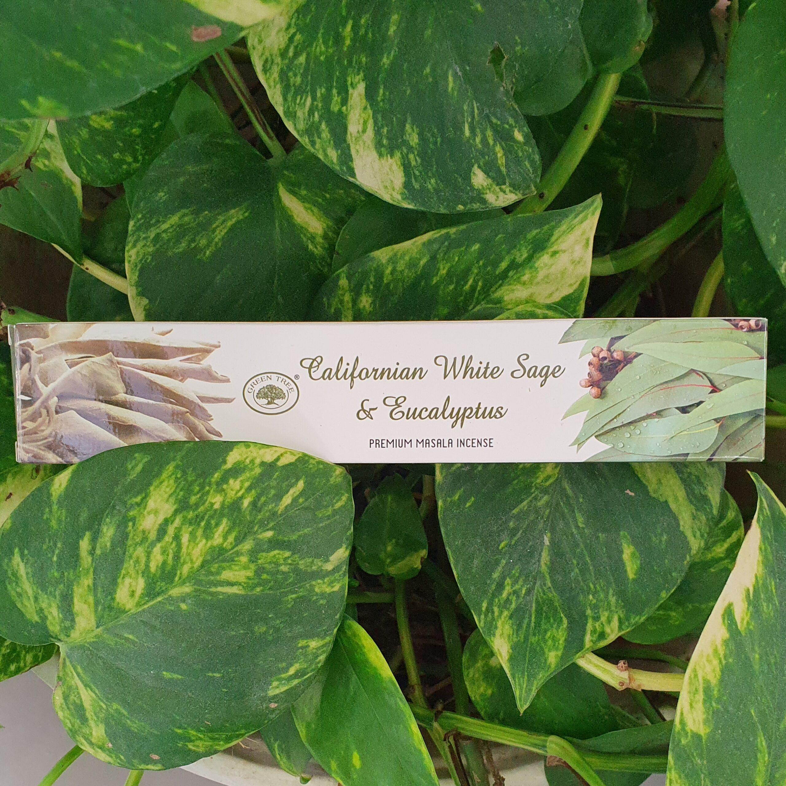 20230311 104506 scaled