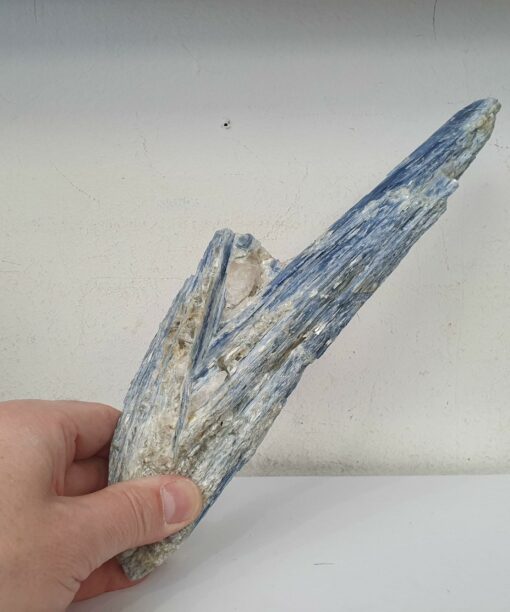 20230314 112412 scaled