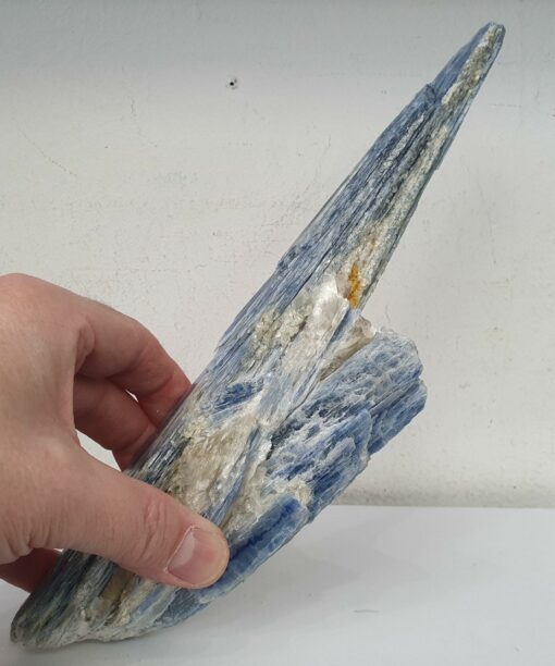 20230314 112423 scaled