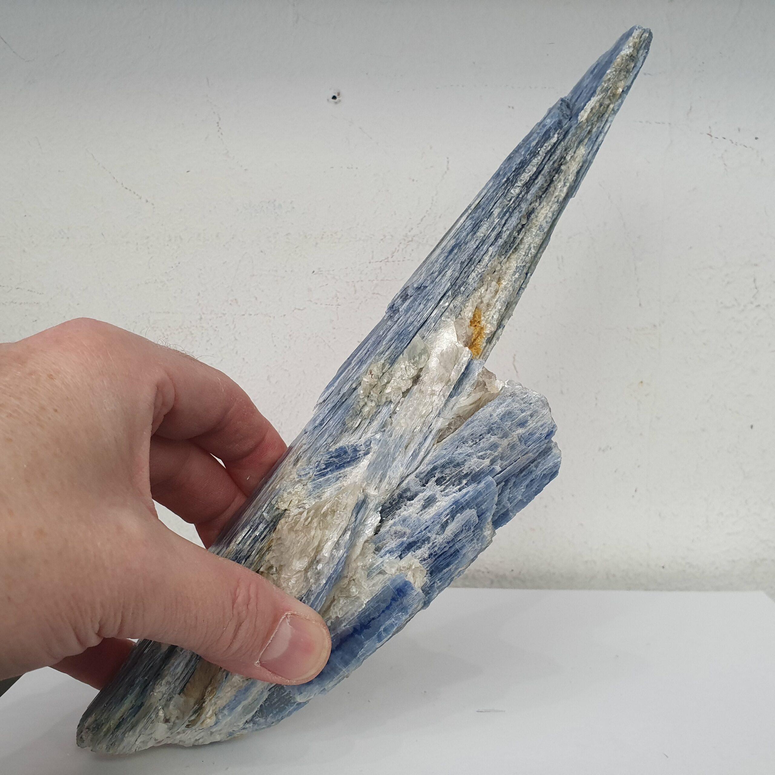 20230314 112423 scaled