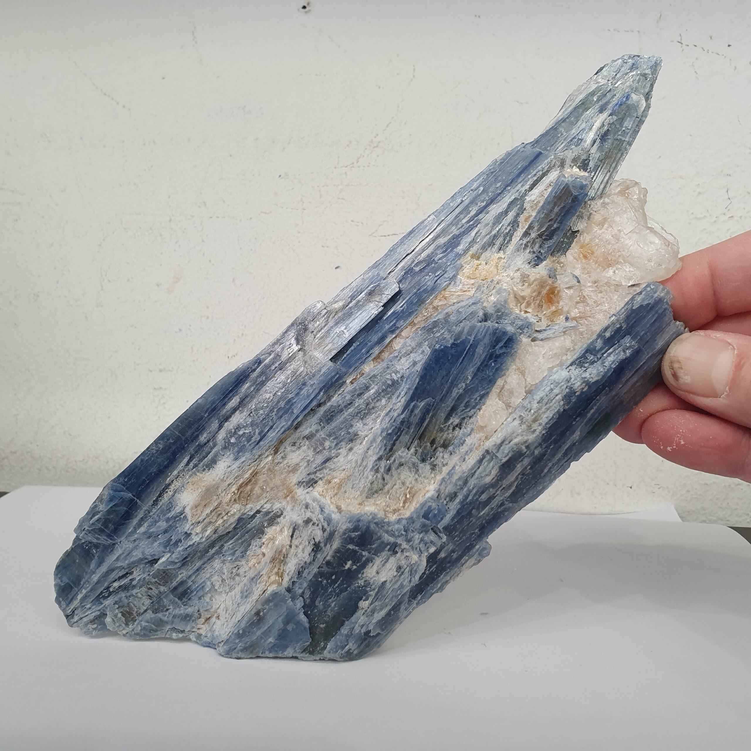 20230314 120004 scaled