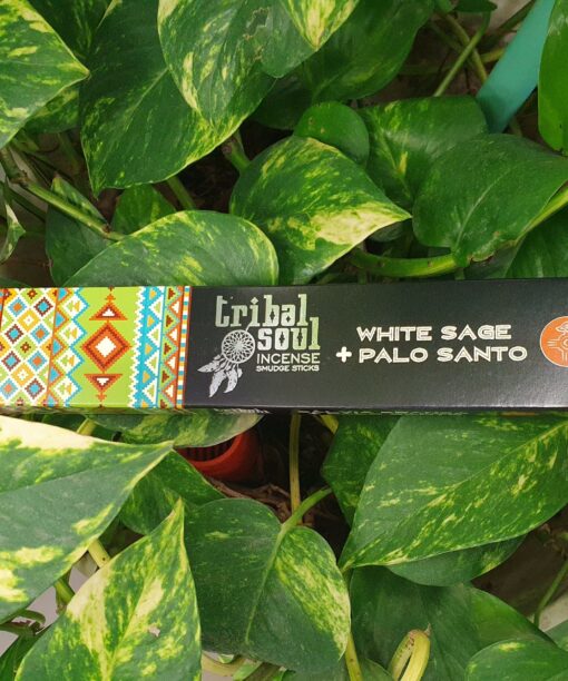 20230321 153143 scaled