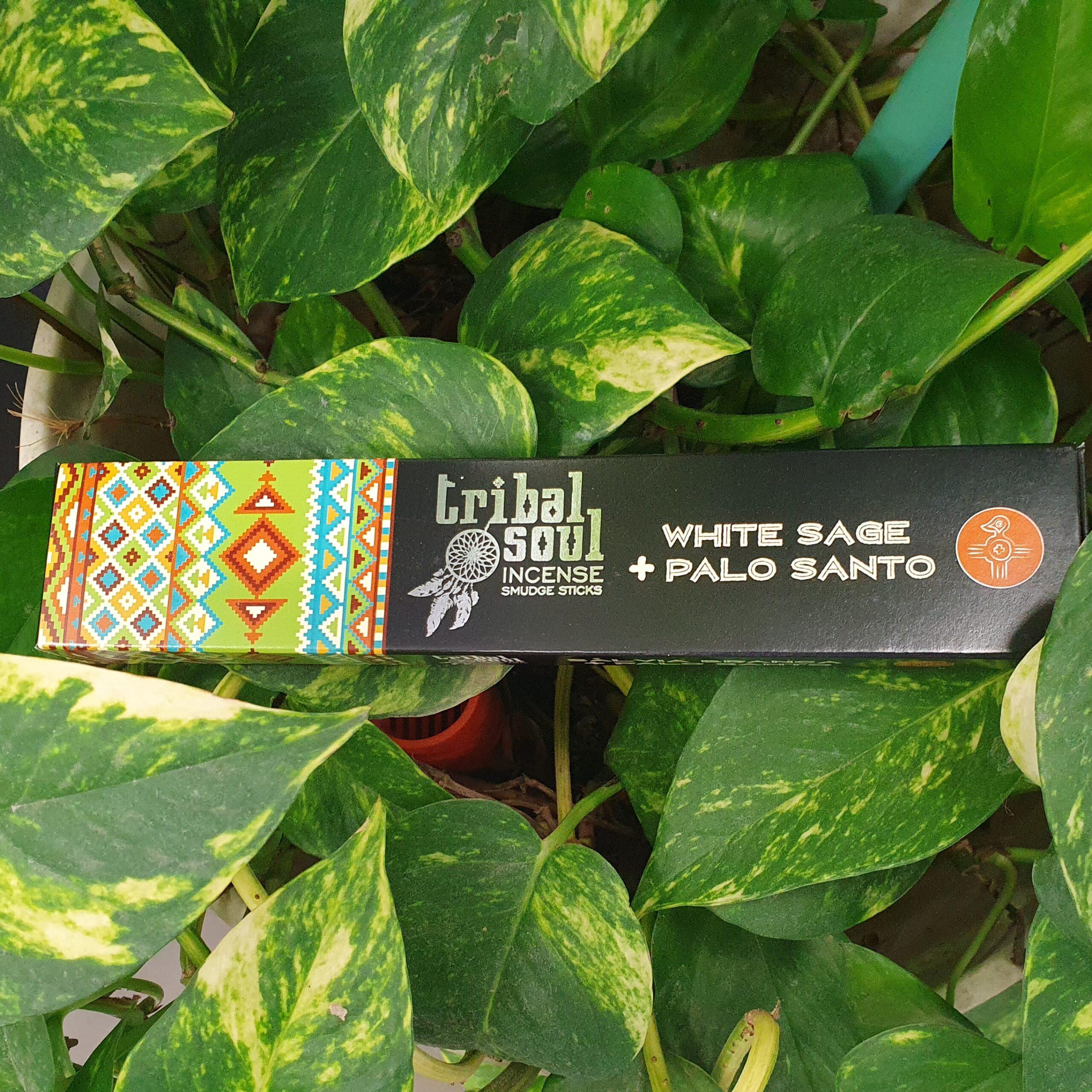 20230321 153143 scaled