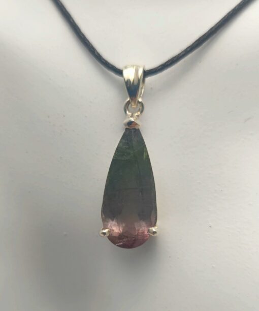 IMG 20231115 103332 scaled