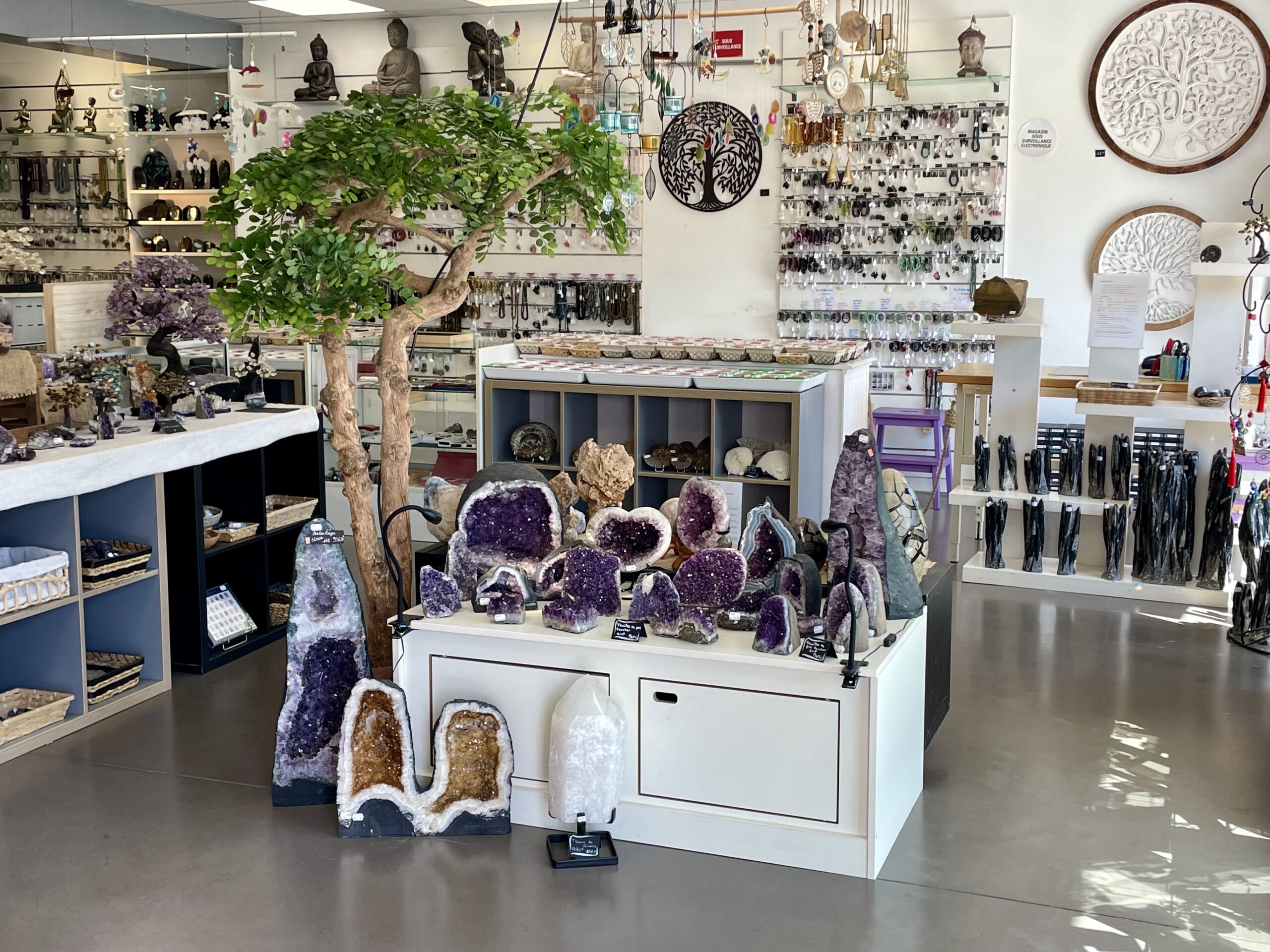 Amethys'te Minéraux 44 IMG 0320 (1)